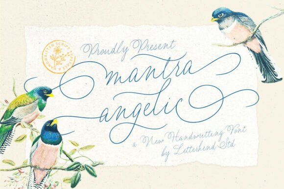 Mantra Angelic Pua: A Font That Can Soften Your Brand's Voice